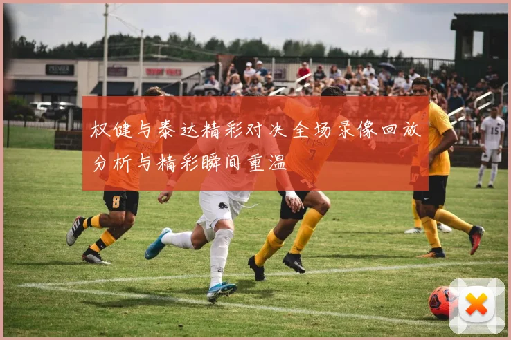 权健与泰达精彩对决全场录像回放分析与精彩瞬间重温