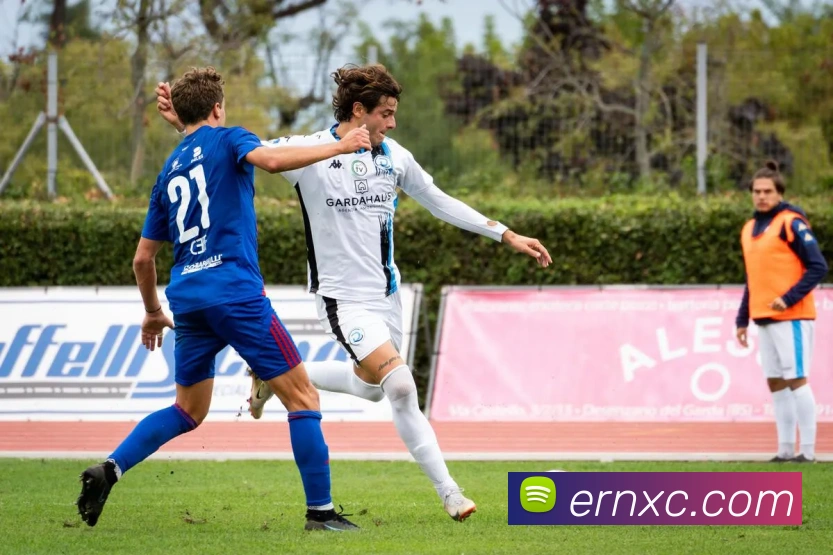 App Interface Preview